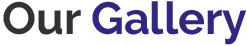 gallery/vfdefse